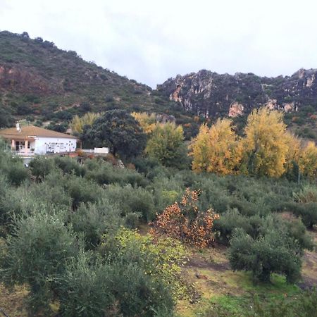 Priego de Córdoba Villa La Quinta מראה חיצוני תמונה