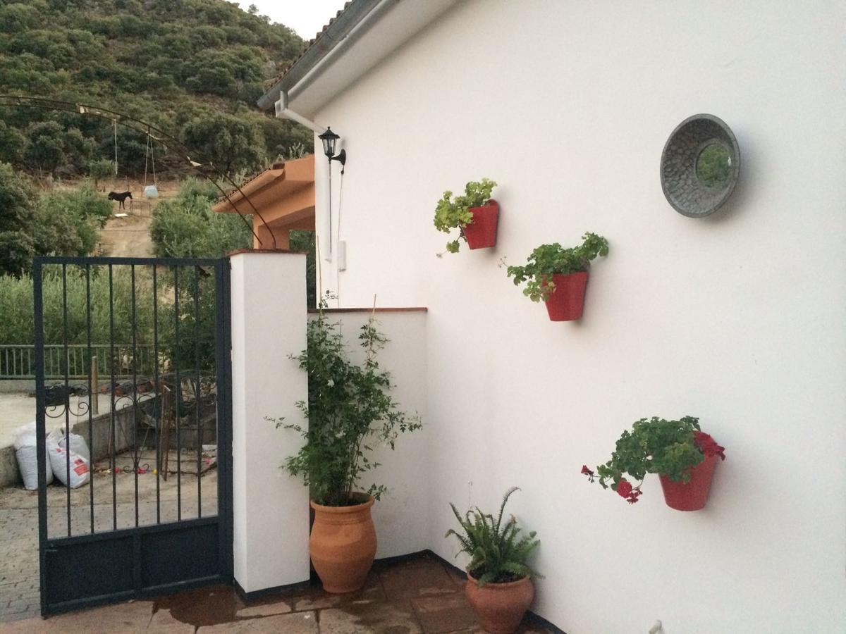 Priego de Córdoba Villa La Quinta מראה חיצוני תמונה