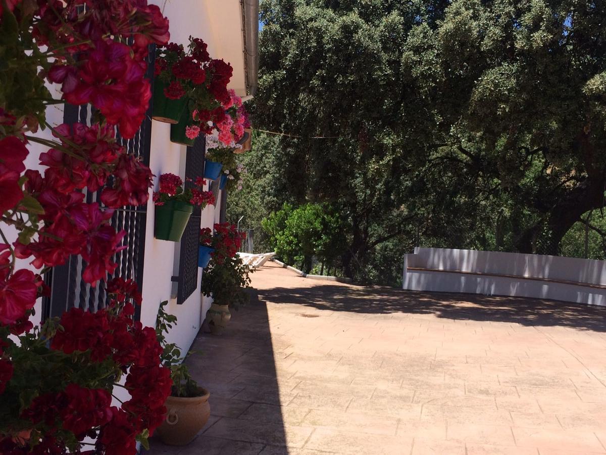 Priego de Córdoba Villa La Quinta מראה חיצוני תמונה